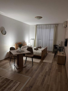 Apartman San
